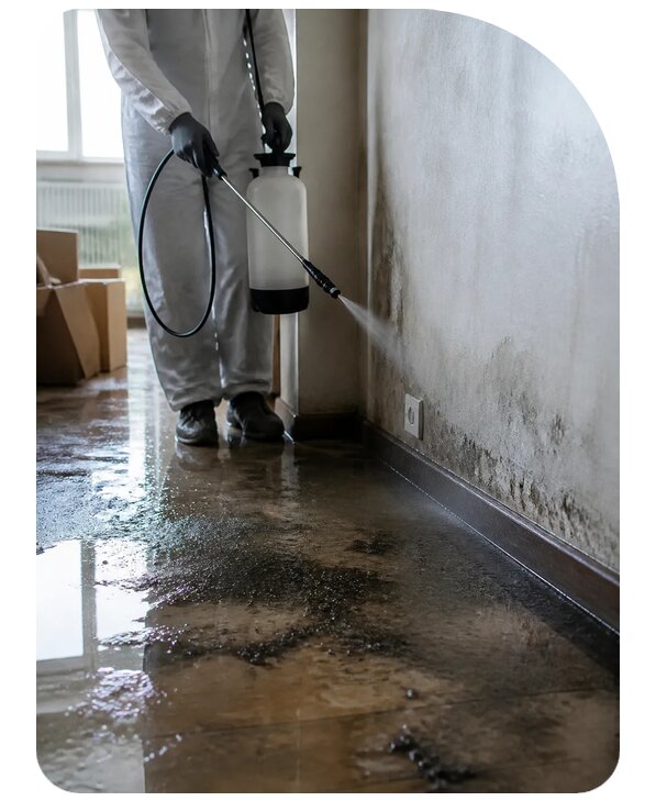 Дезинфекция после затопления в Севастополе по цене от 5677 р. | Сенат-Сев